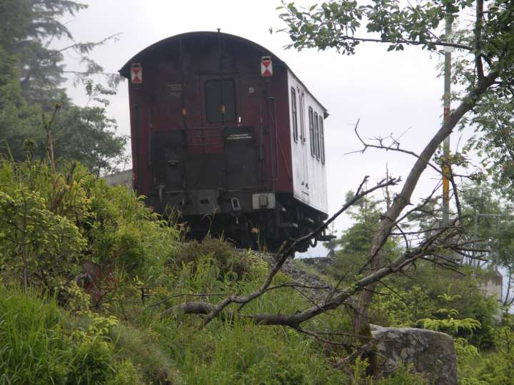 harz