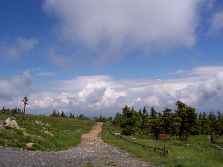 harz