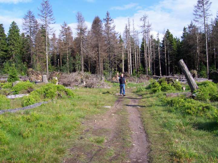 harz