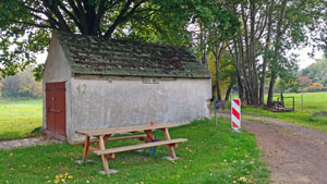 11 schorlingborstel
