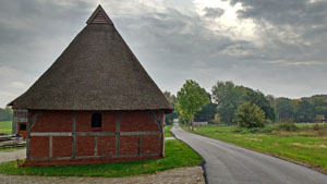 12 schorlingborstel