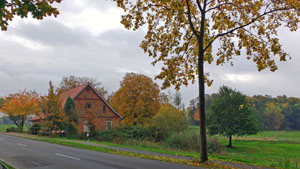 15 schorlingborstel