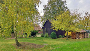 23 schorlingborstel
