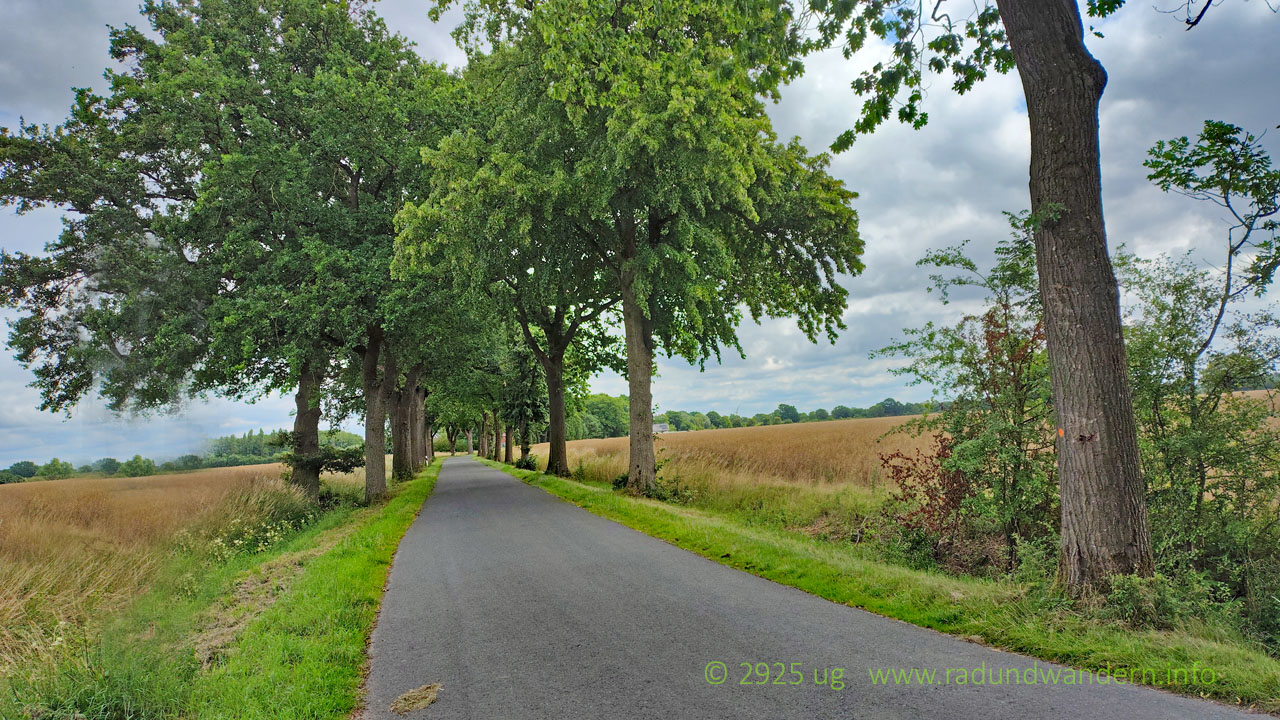 Allee nach Oenigstedt
