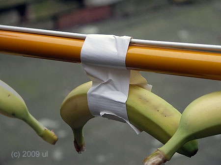Bananen auf dem Fahrrad